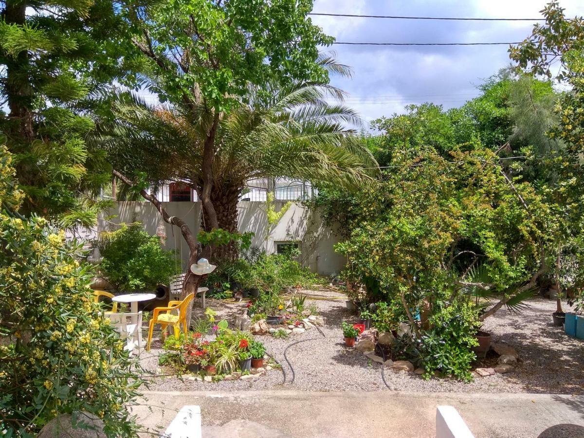Dolphin Apartments Φαληράκι Εξωτερικό φωτογραφία